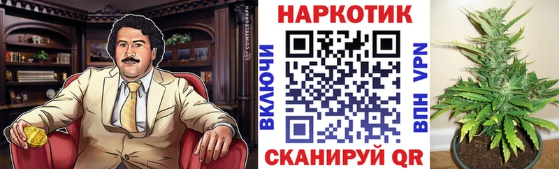 Меф мяу мяу Невель