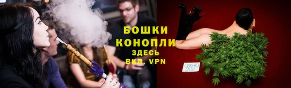 шишки Богородицк