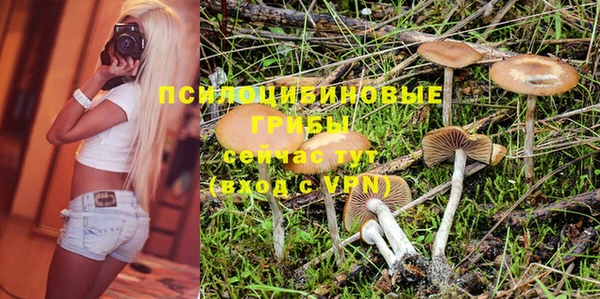 сатива Богданович