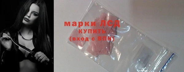 шишки Богородицк