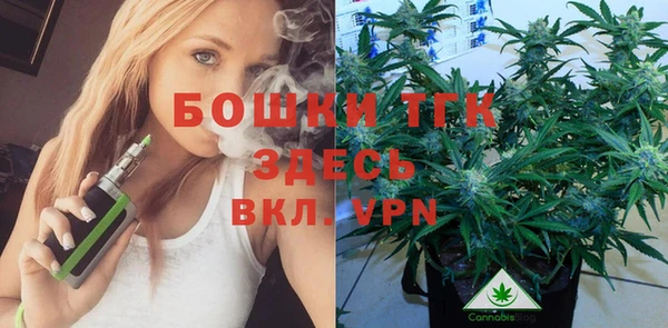 шишки Богородицк