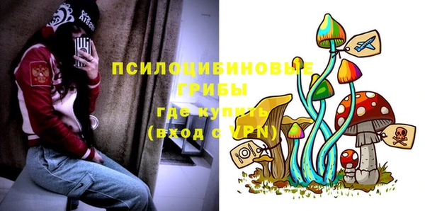 шишки Богородицк