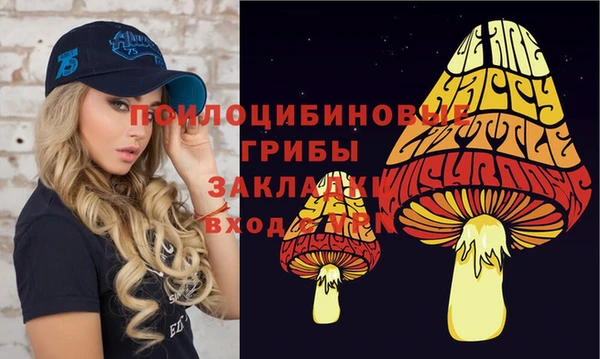 шишки Богородицк