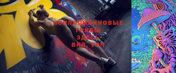 mdpv Богородск