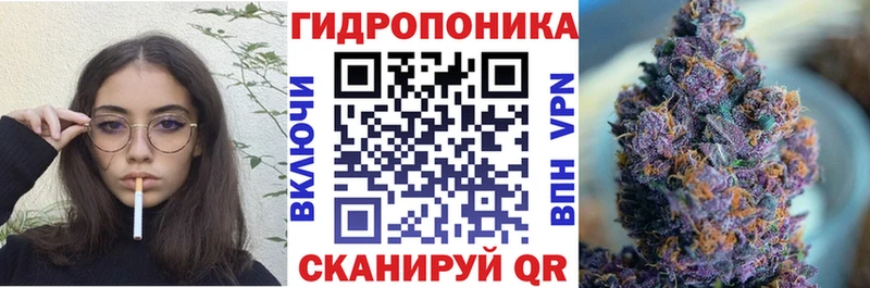 Шишки марихуана Ganja продажа наркотиков Невель